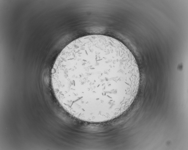 X0000116620069201001221348