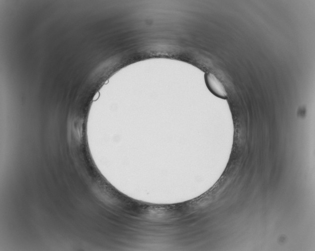 X0000116620070201001221348