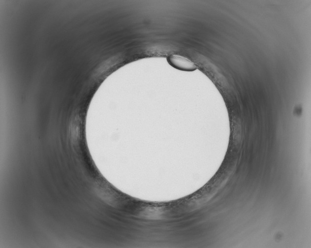 X0000116620071201001221348