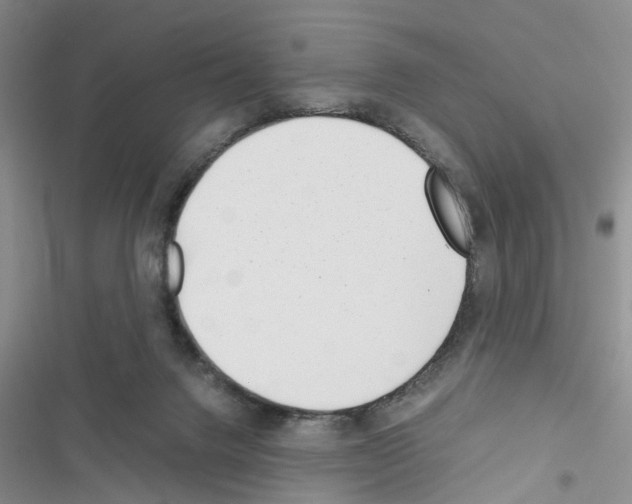 X0000116620072201001221348