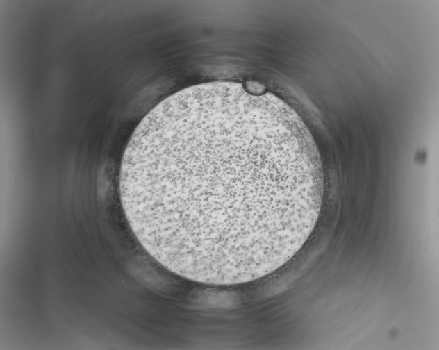 X0000116620073201001221348
