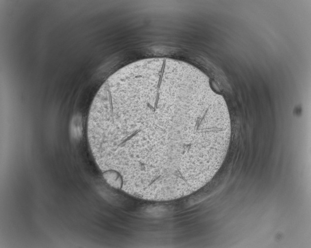 X0000116620075201001221348