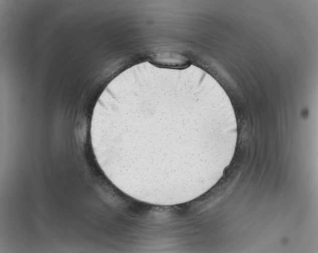 X0000116620076201001221348