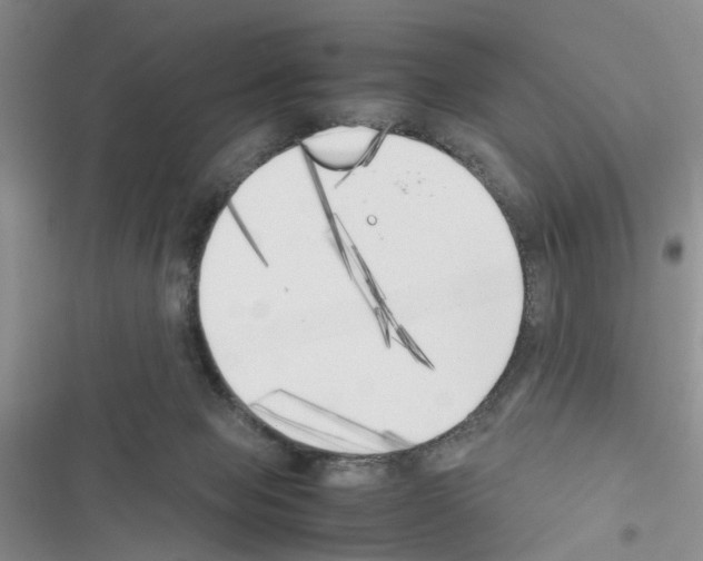 X0000116620077201001221348