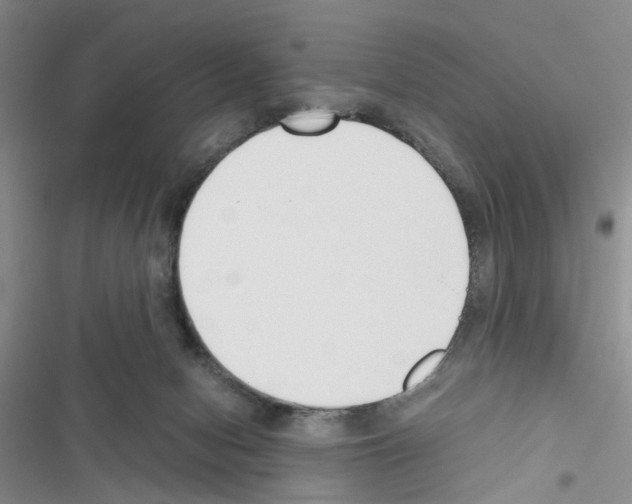 X0000116620078201001221348