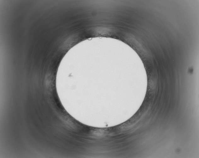 X0000116620079201001221348