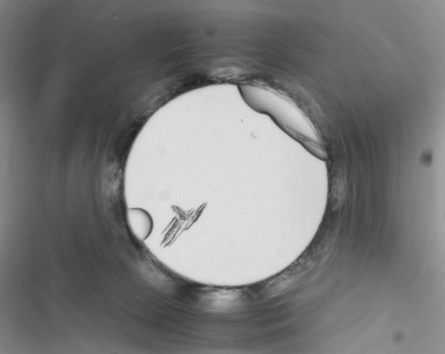 X0000116620081201001221348