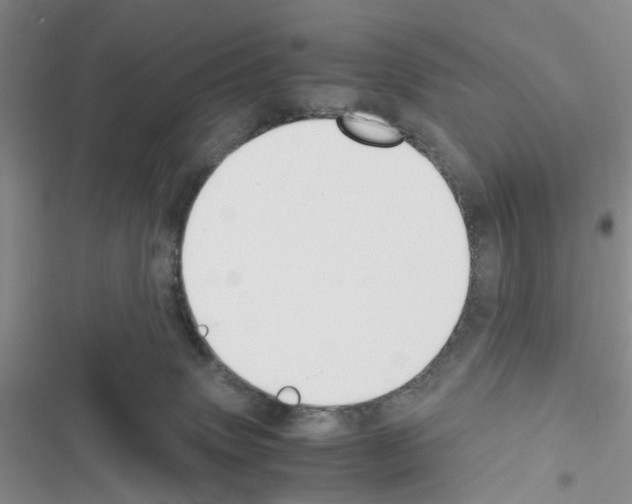 X0000116620083201001221349