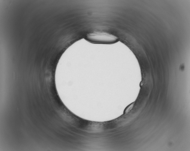 X0000116620084201001221349