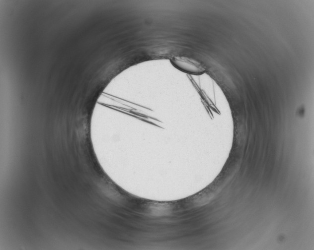 X0000116620085201001221349