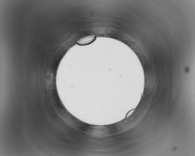 X0000116620087201001221349