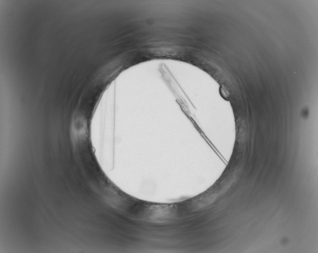 X0000116620089201001221349