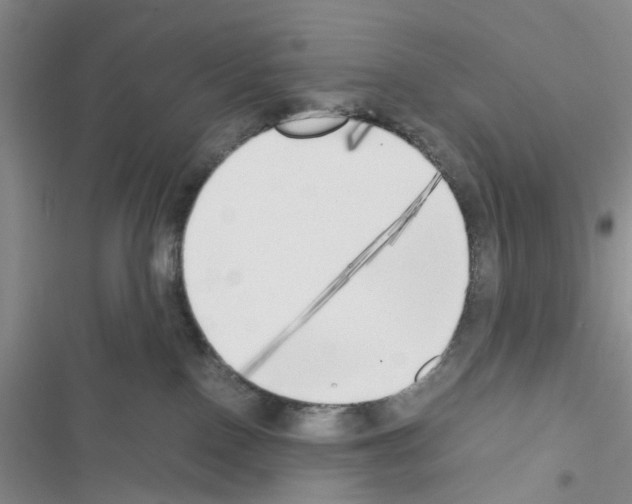 X0000116620090201001221349