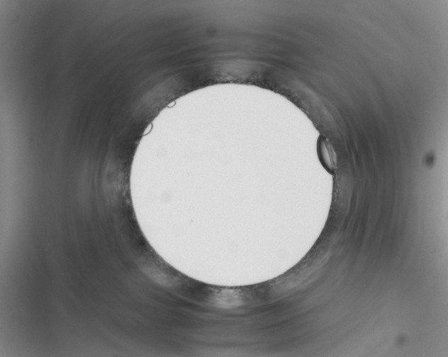 X0000116620091201001221349