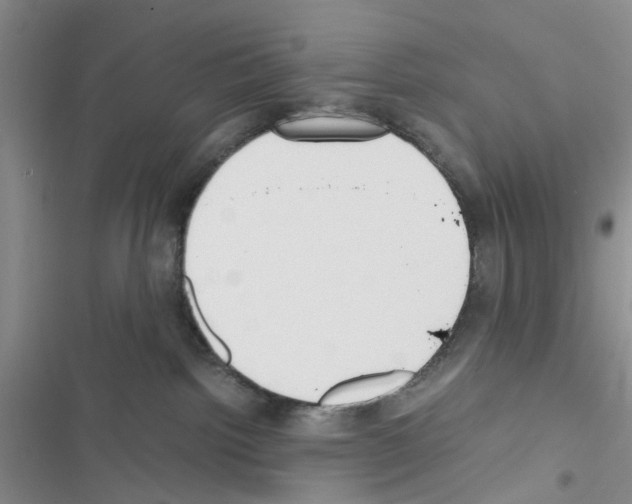 X0000116620092201001221349