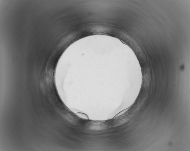 X0000116620093201001221349