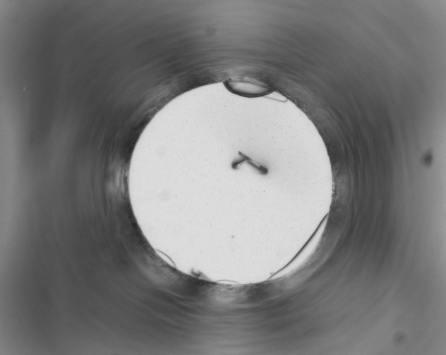 X0000116620094201001221349