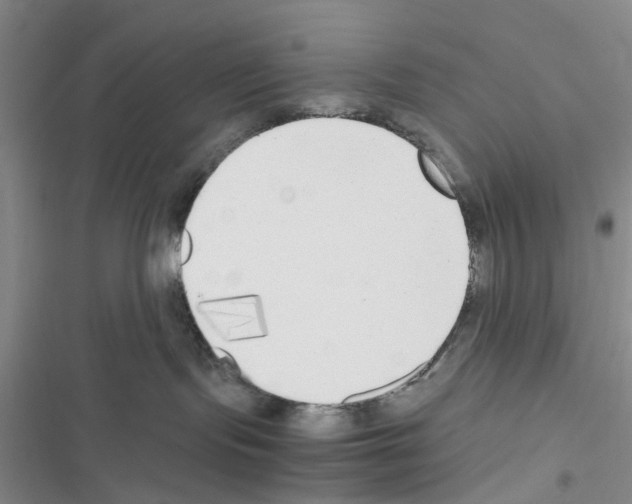 X0000116620095201001221349