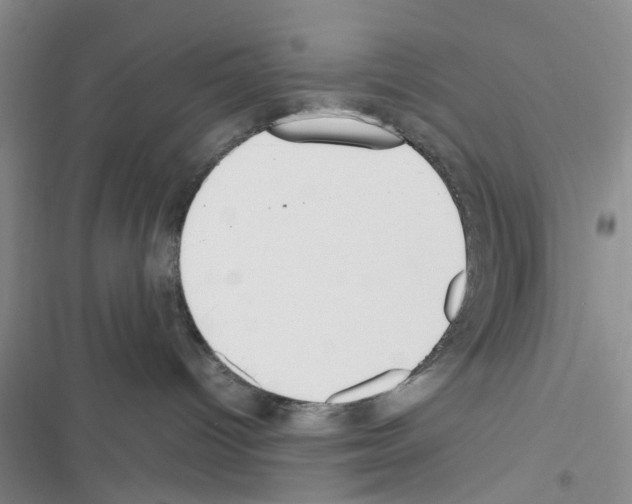 X0000116620096201001221349