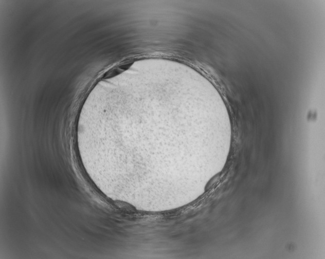 X0000116620097201001221348