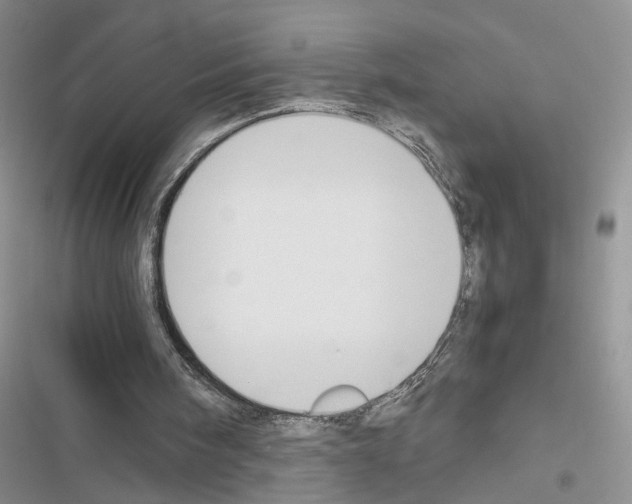 X0000116620098201001221348
