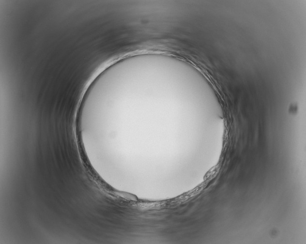 X0000116620100201001221348