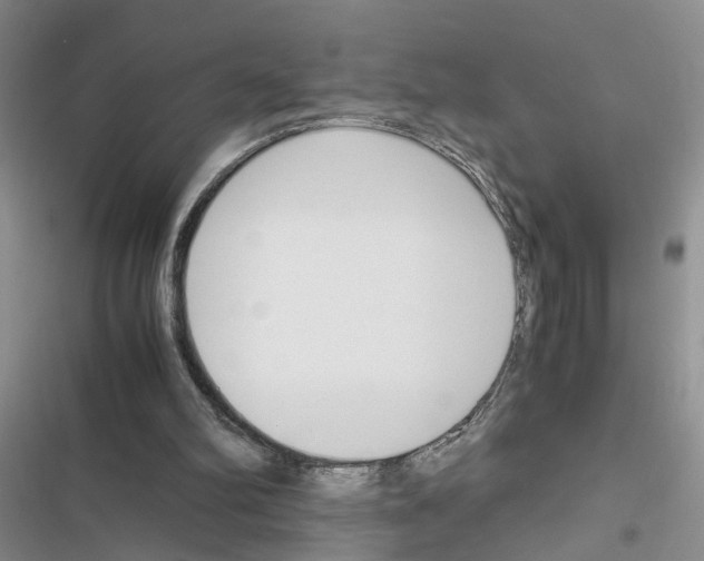 X0000116620102201001221348