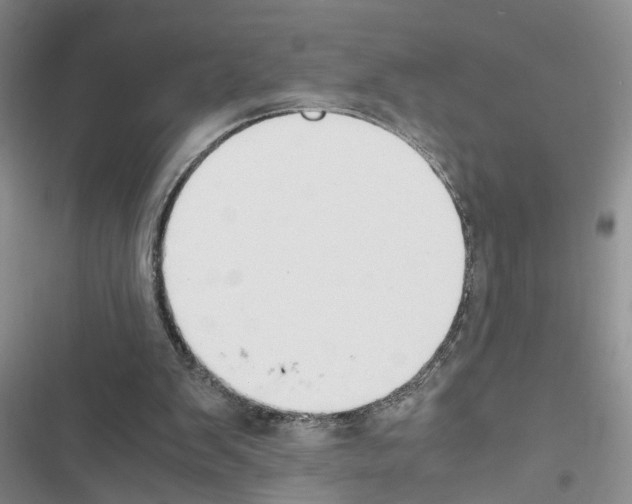 X0000116620103201001221348