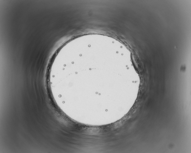 X0000116620104201001221348