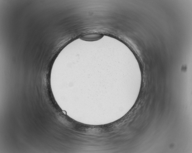 X0000116620105201001221348