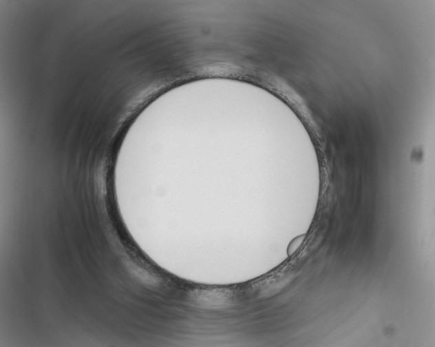 X0000116620106201001221348