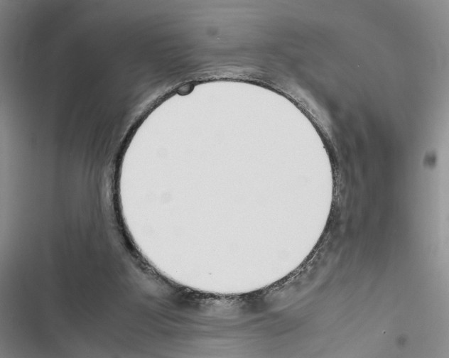 X0000116620107201001221348