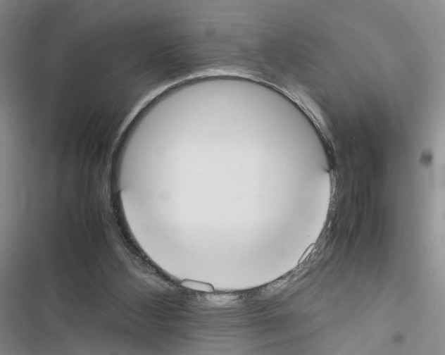 X0000116620108201001221348