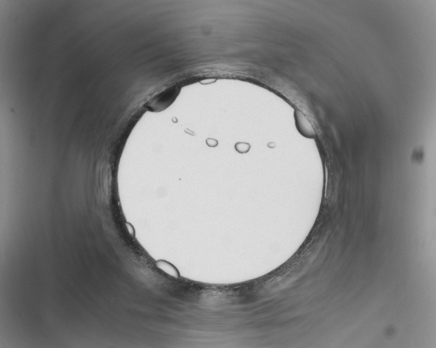 X0000116620109201001221348