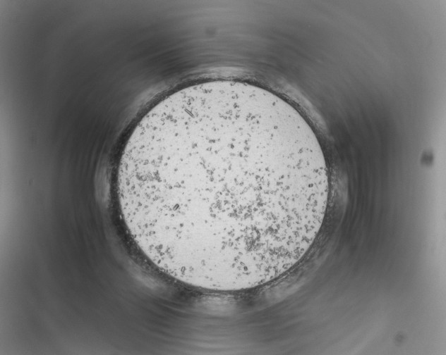 X0000116620110201001221348