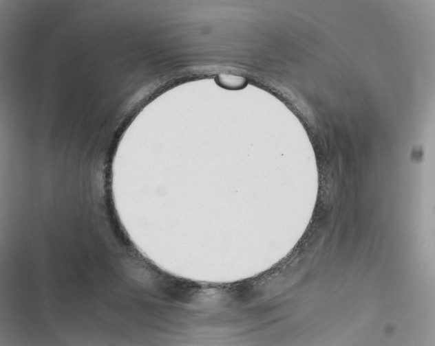 X0000116620111201001221348