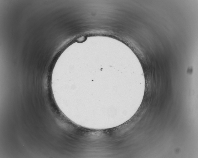 X0000116620112201001221348