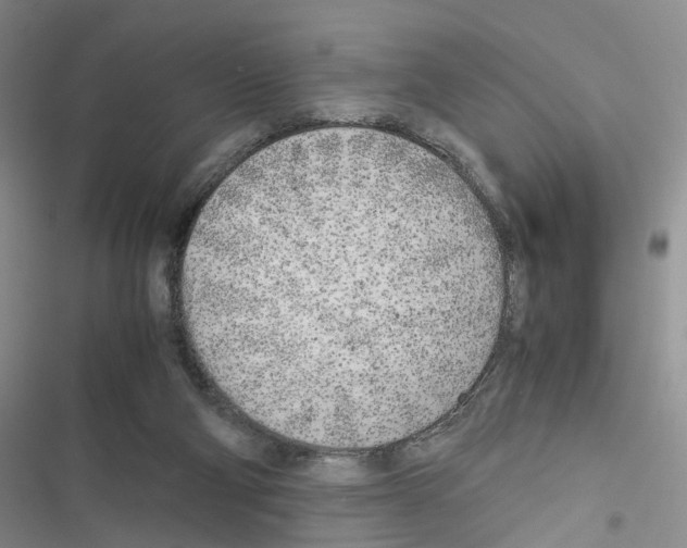 X0000116620114201001221348