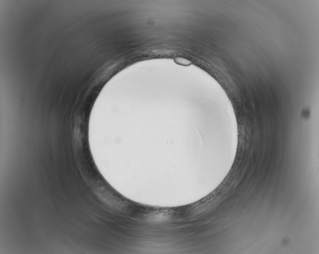 X0000116620116201001221348