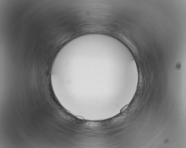 X0000116620117201001221348