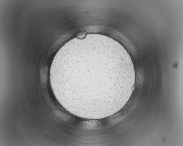 X0000116620118201001221348