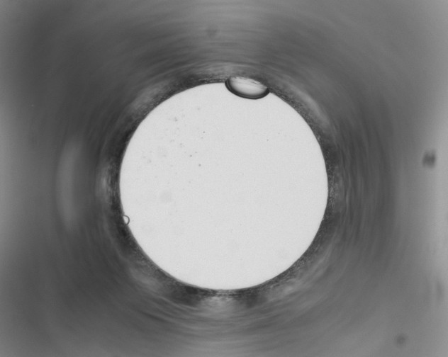 X0000116620119201001221348