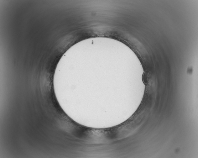 X0000116620121201001221348