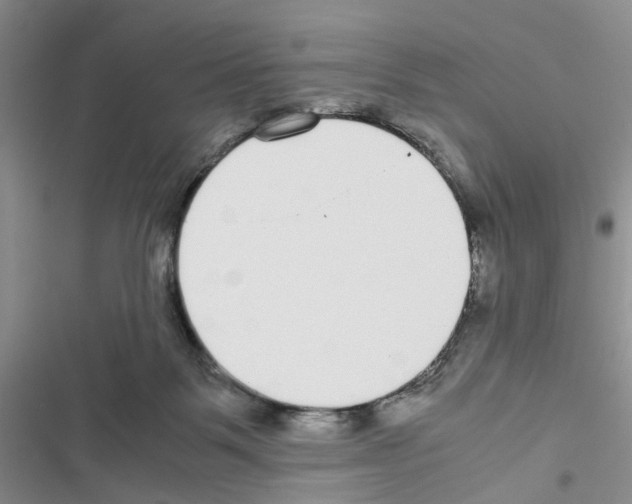 X0000116620123201001221348