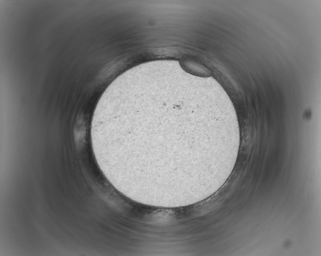 X0000116620124201001221348