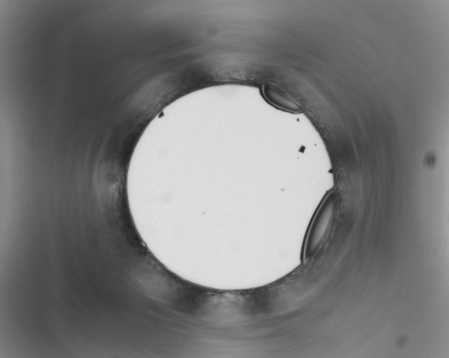 X0000116620125201001221348