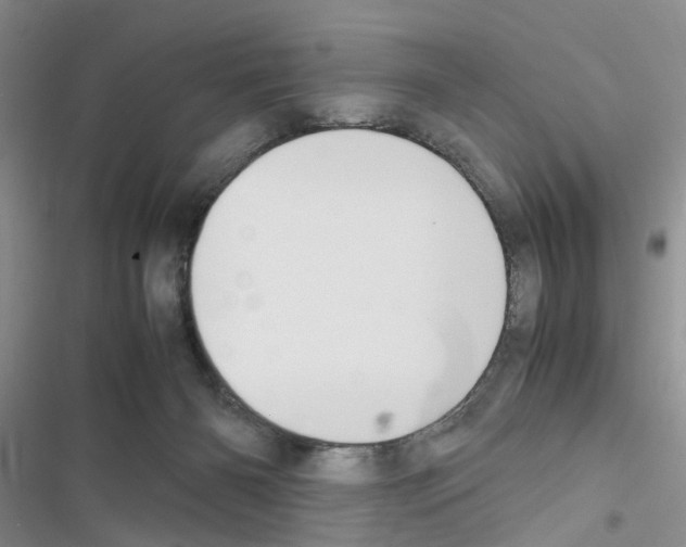 X0000116620126201001221348