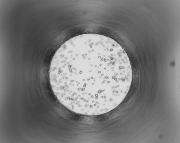 X0000116620127201001221348