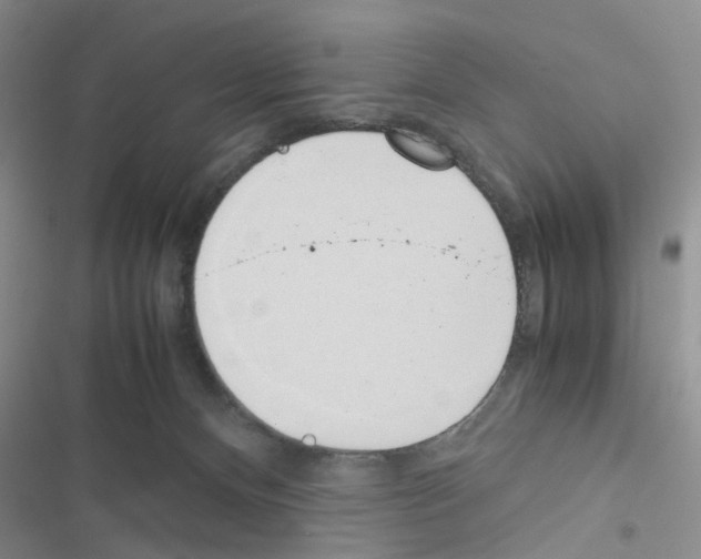 X0000116620128201001221348