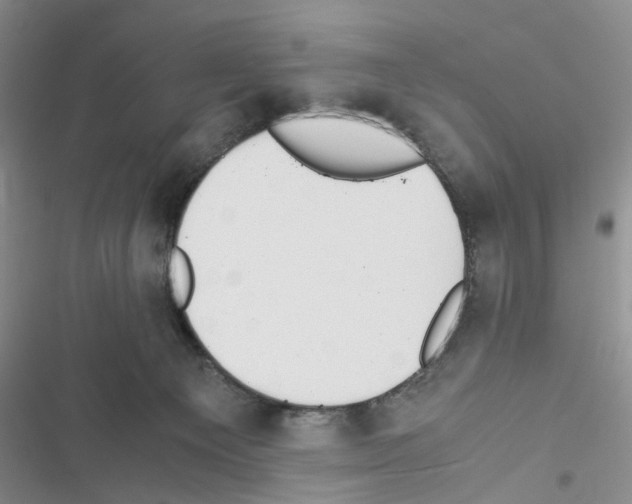 X0000116620129201001221348